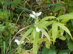 IMG 4626